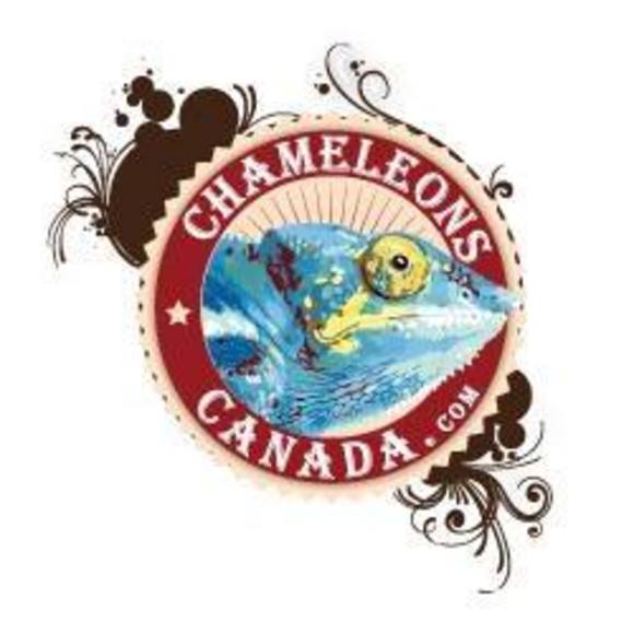 Meet your Posher, Edgar - Picture 1 of 1